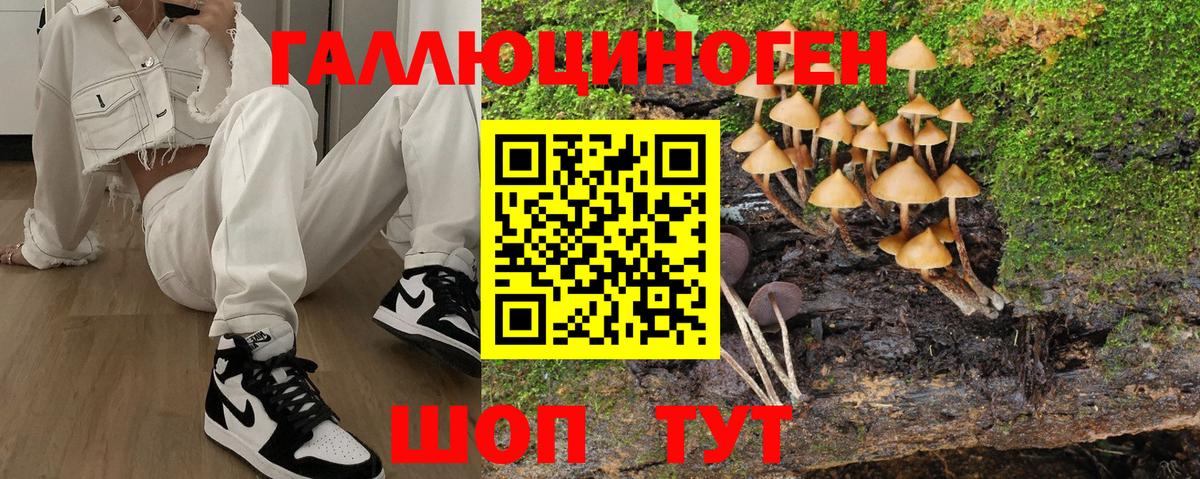 Псилоцибиновые грибы мицелий Новороссийск