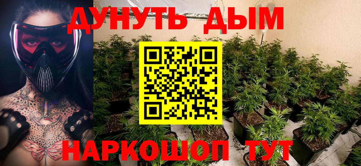 Конопля AK-47 Новороссийск